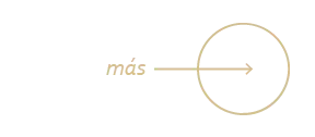 Botón conoce más