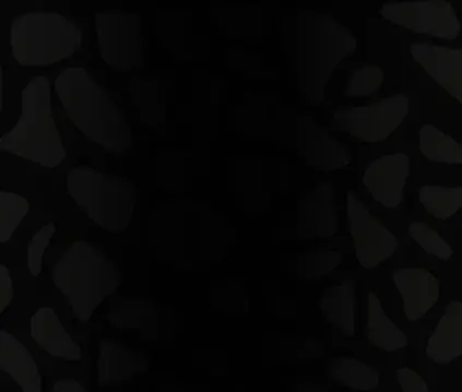Rosa Negra footer background