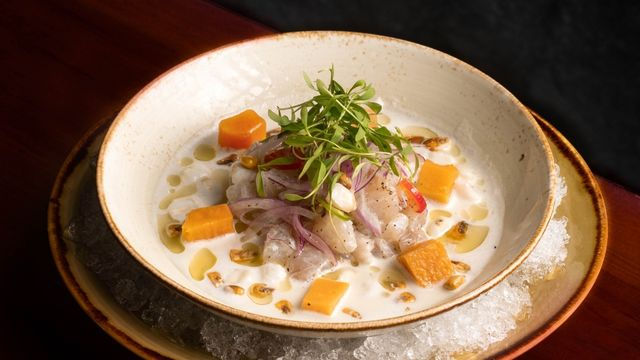 Ceviche in Cancun: A Guide by Nichupté Lagoon